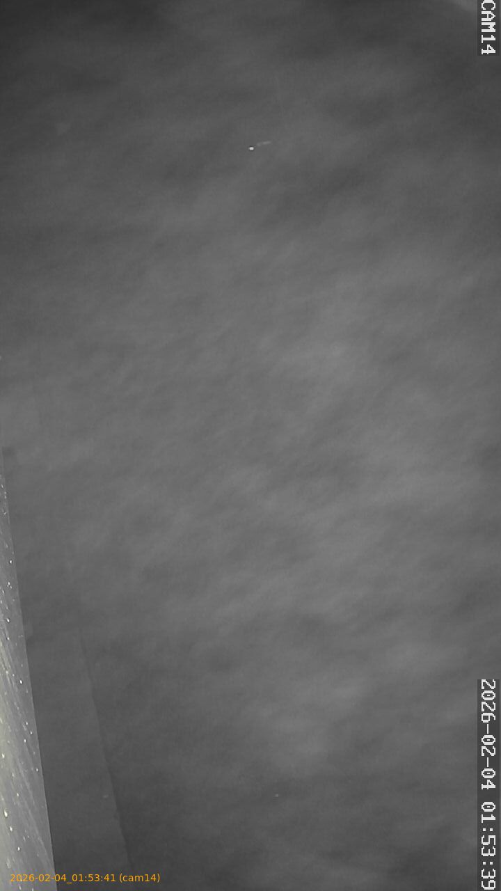 thumbnail_20260204015341