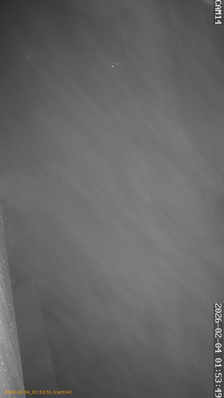 thumbnail_20260204015351