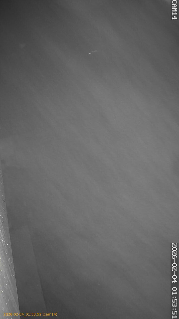 thumbnail_20260204015352