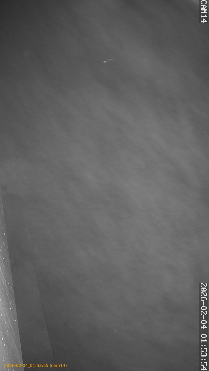 thumbnail_20260204015355