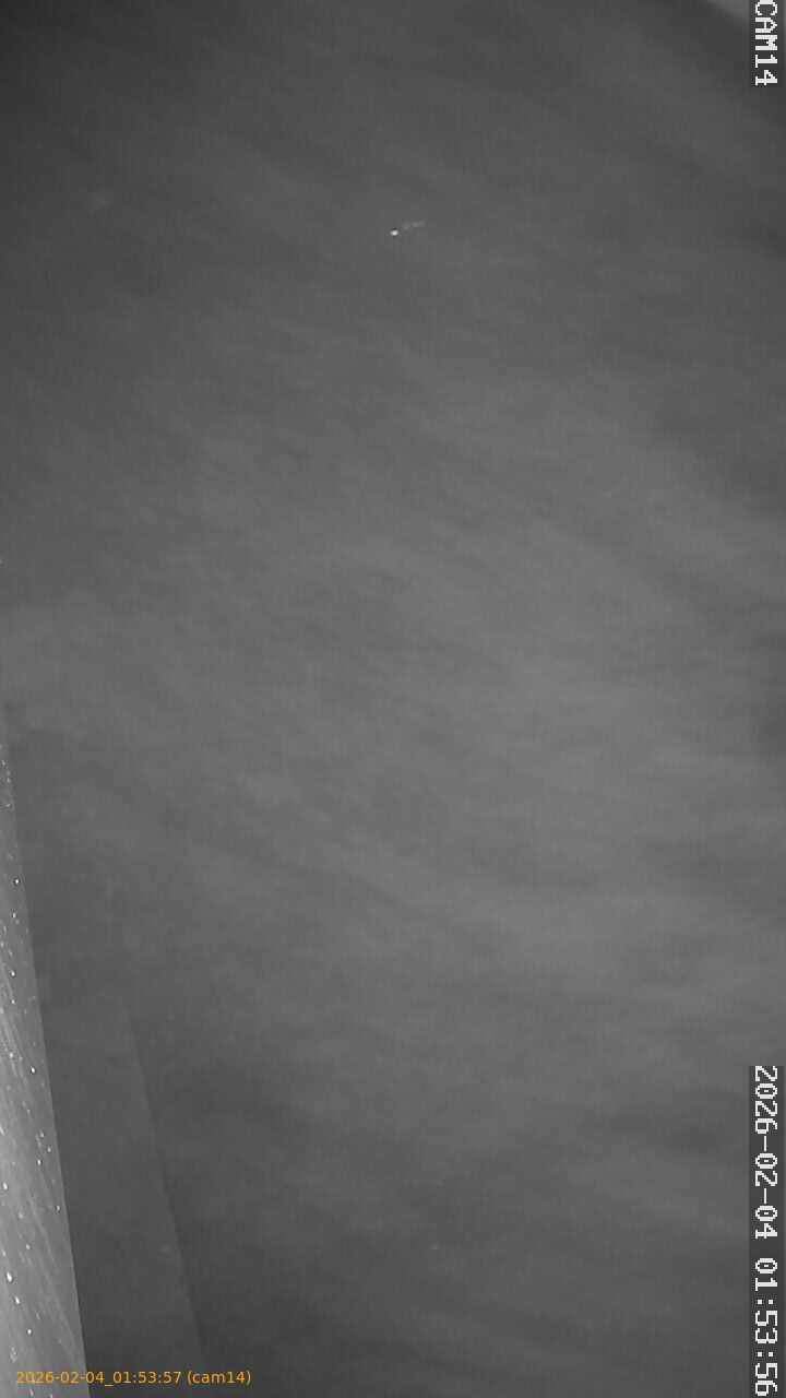 thumbnail_20260204015357