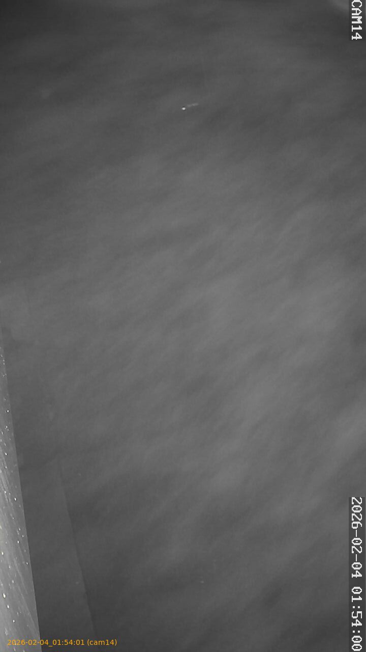 thumbnail_20260204015401