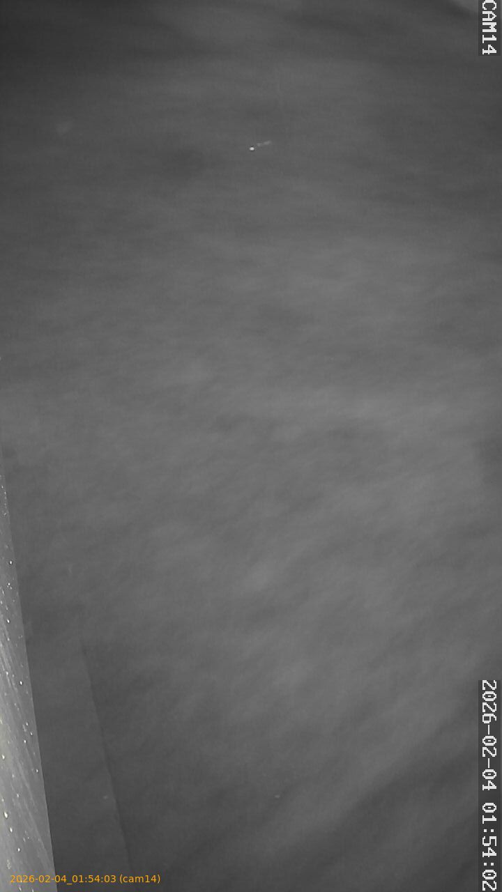 thumbnail_20260204015403