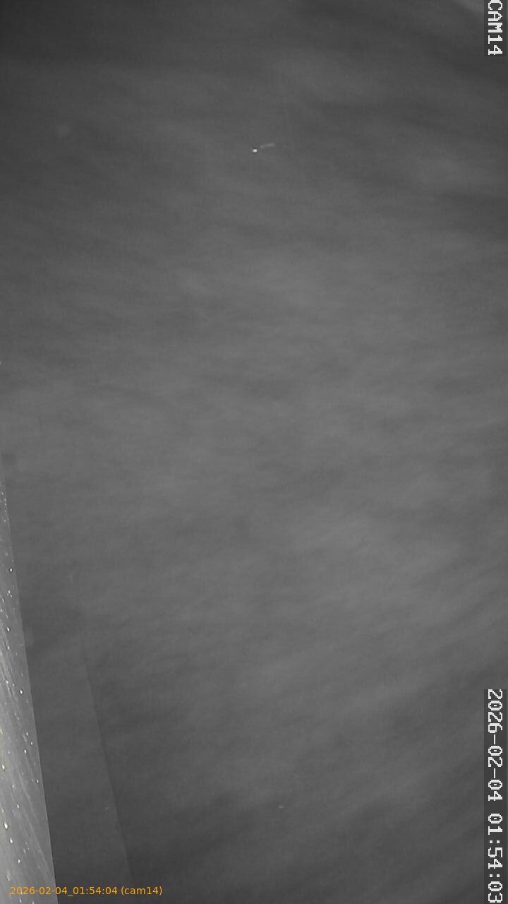 thumbnail_20260204015404