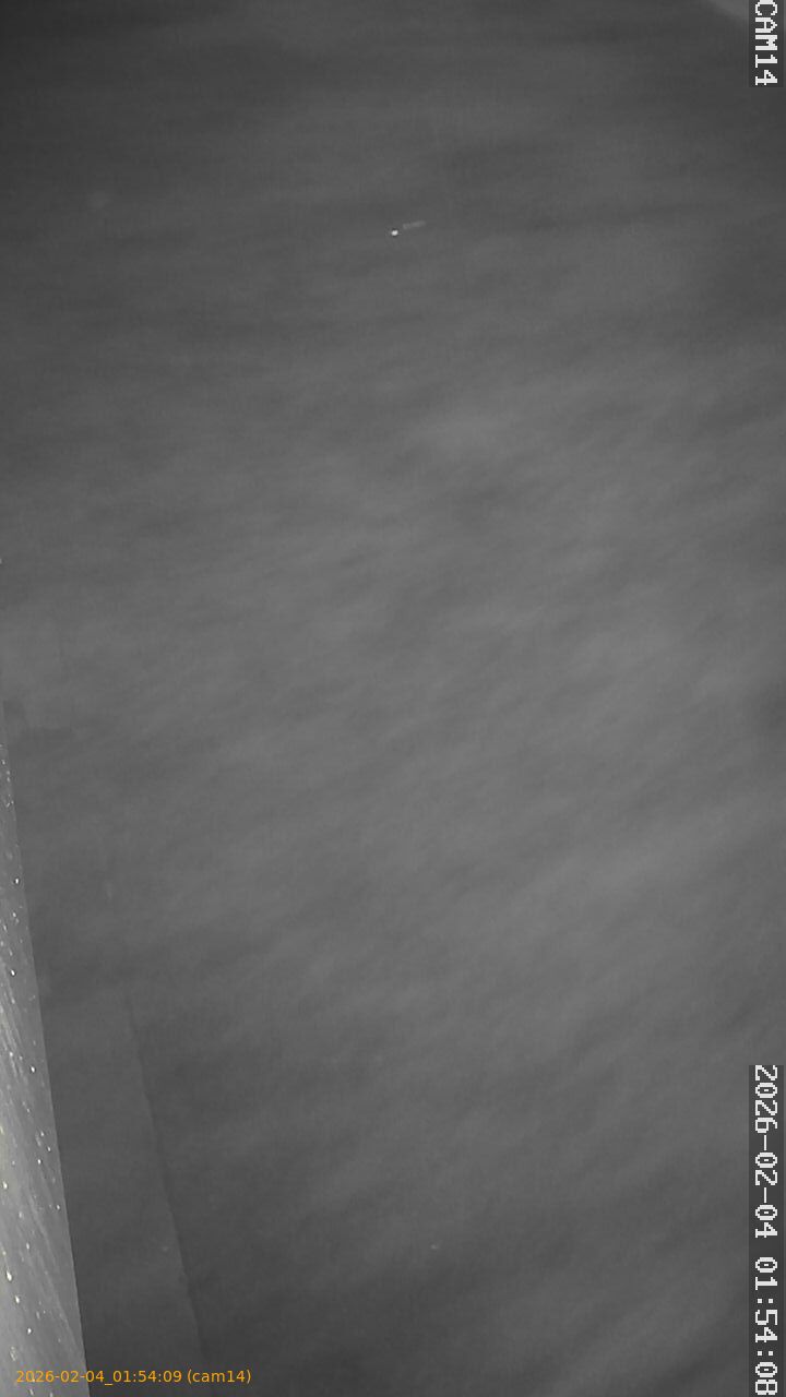 thumbnail_20260204015409