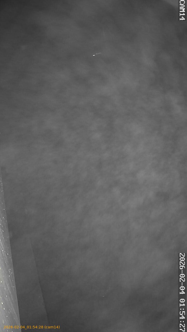 thumbnail_20260204015428