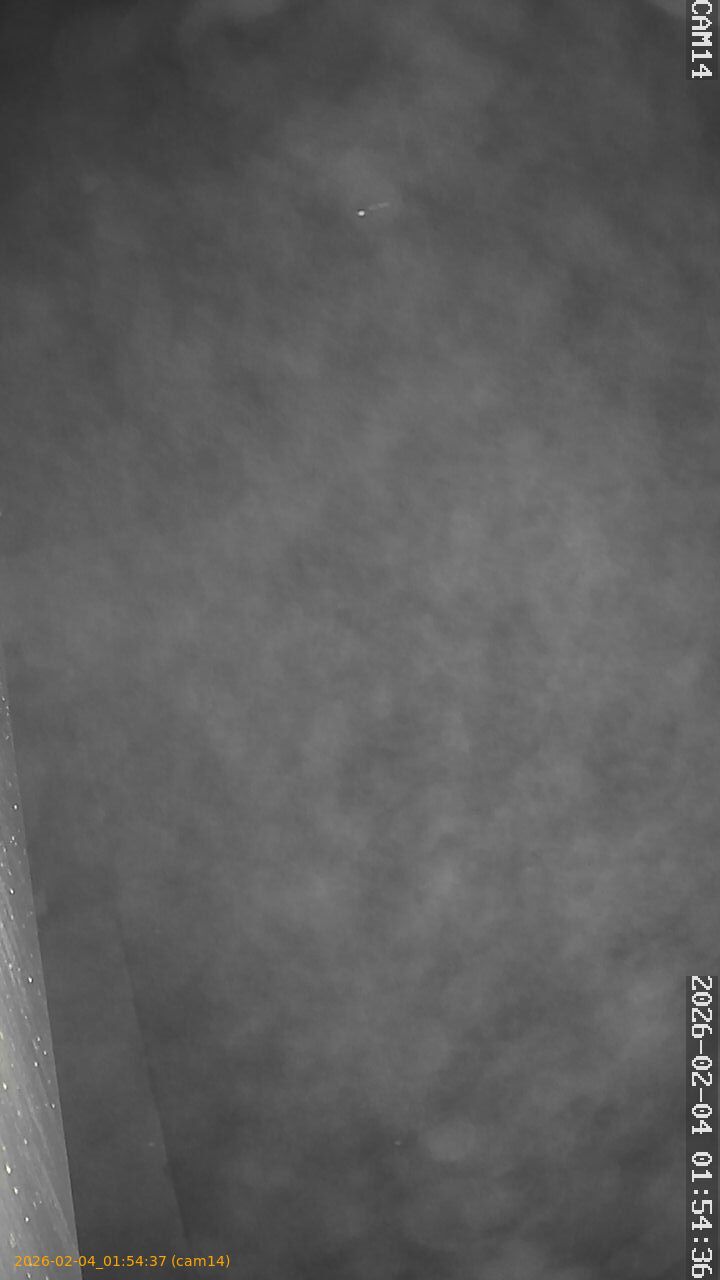 thumbnail_20260204015437