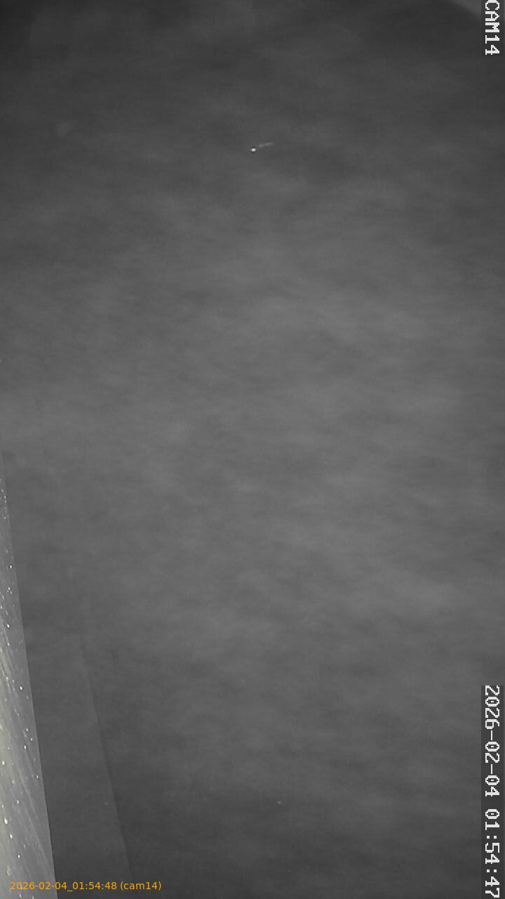 thumbnail_20260204015448