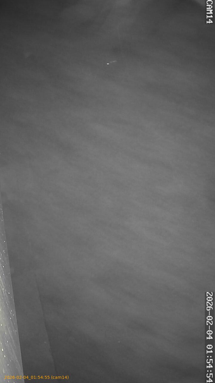 thumbnail_20260204015455