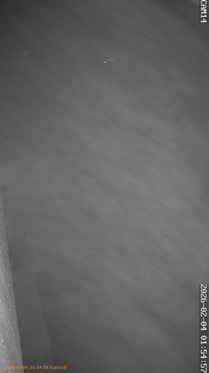 thumbnail_20260204015458