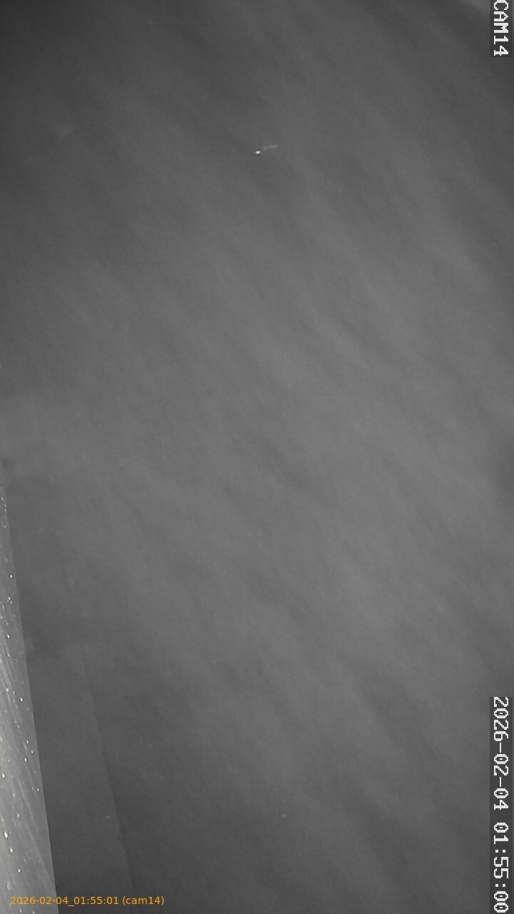 thumbnail_20260204015501