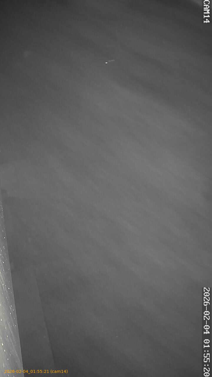 thumbnail_20260204015521