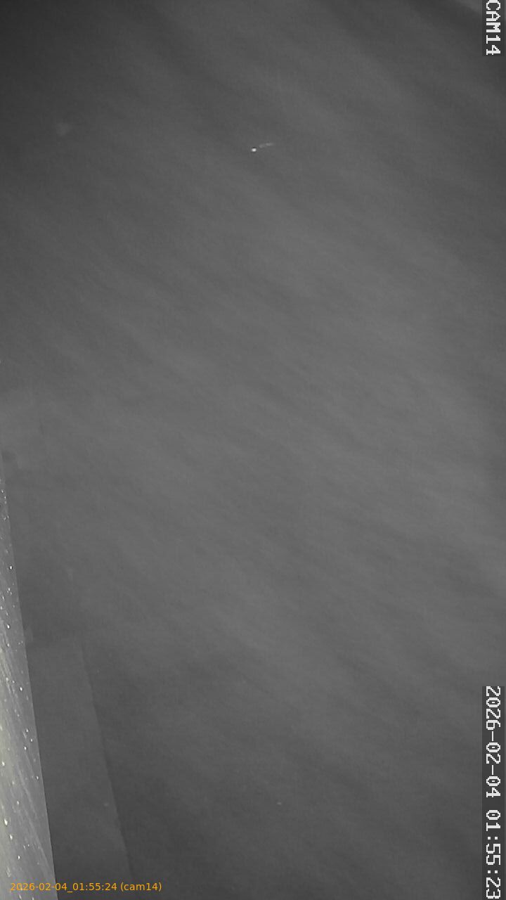 thumbnail_20260204015524