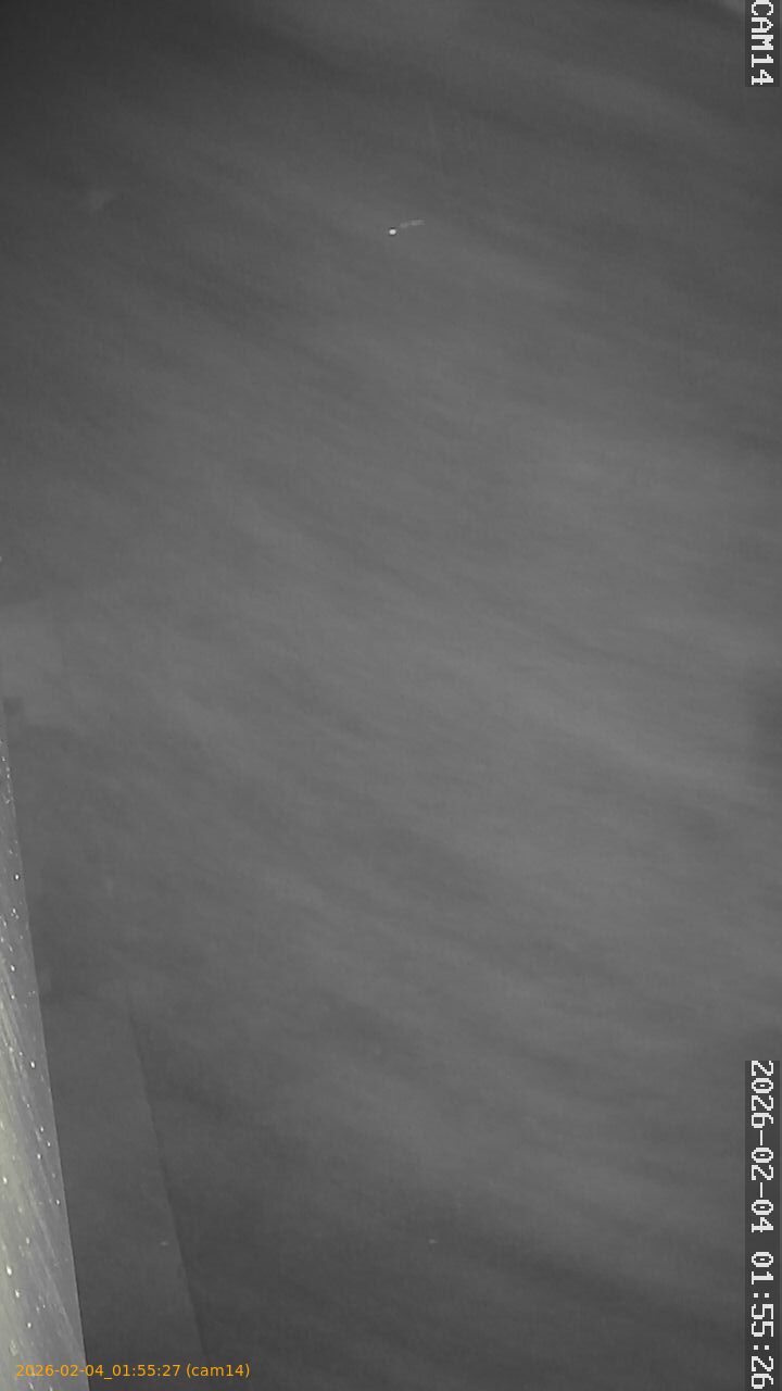 thumbnail_20260204015526