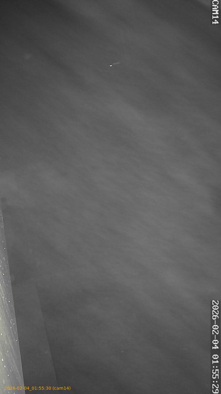 thumbnail_20260204015530