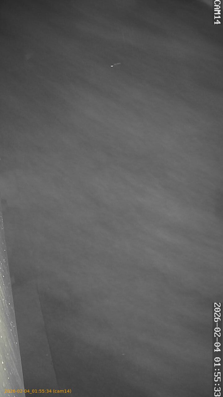 thumbnail_20260204015534