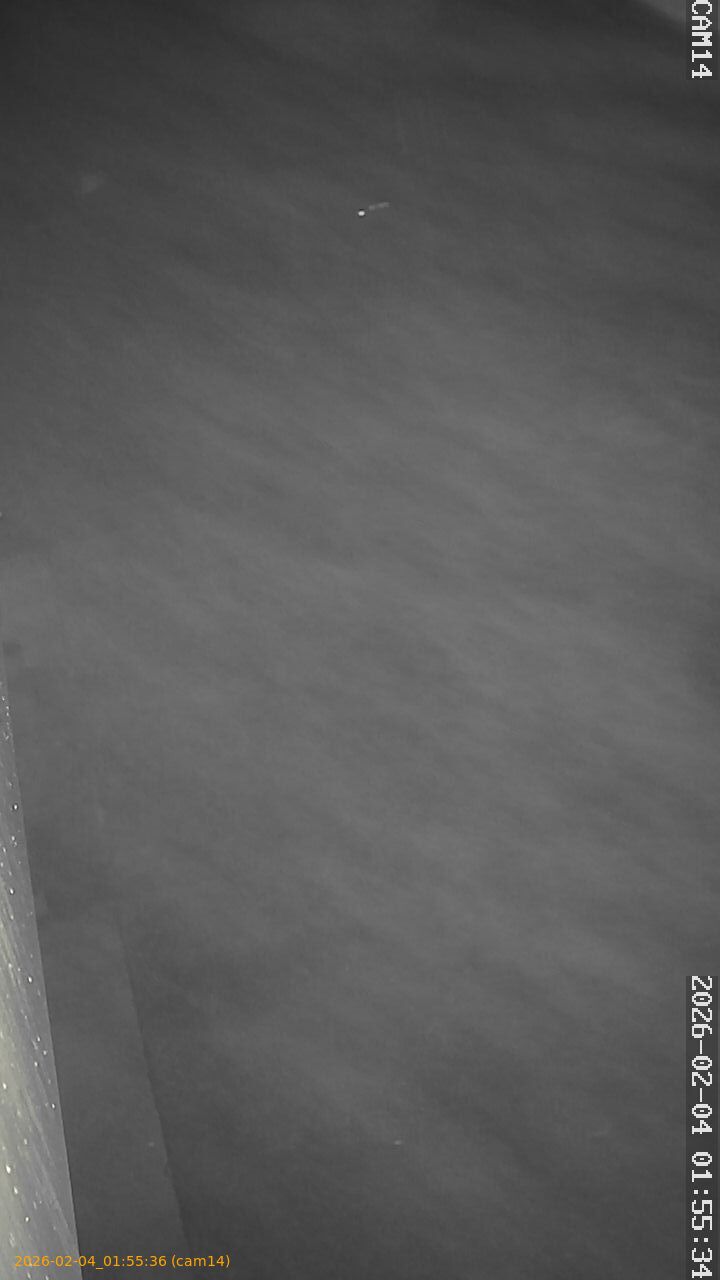 thumbnail_20260204015536