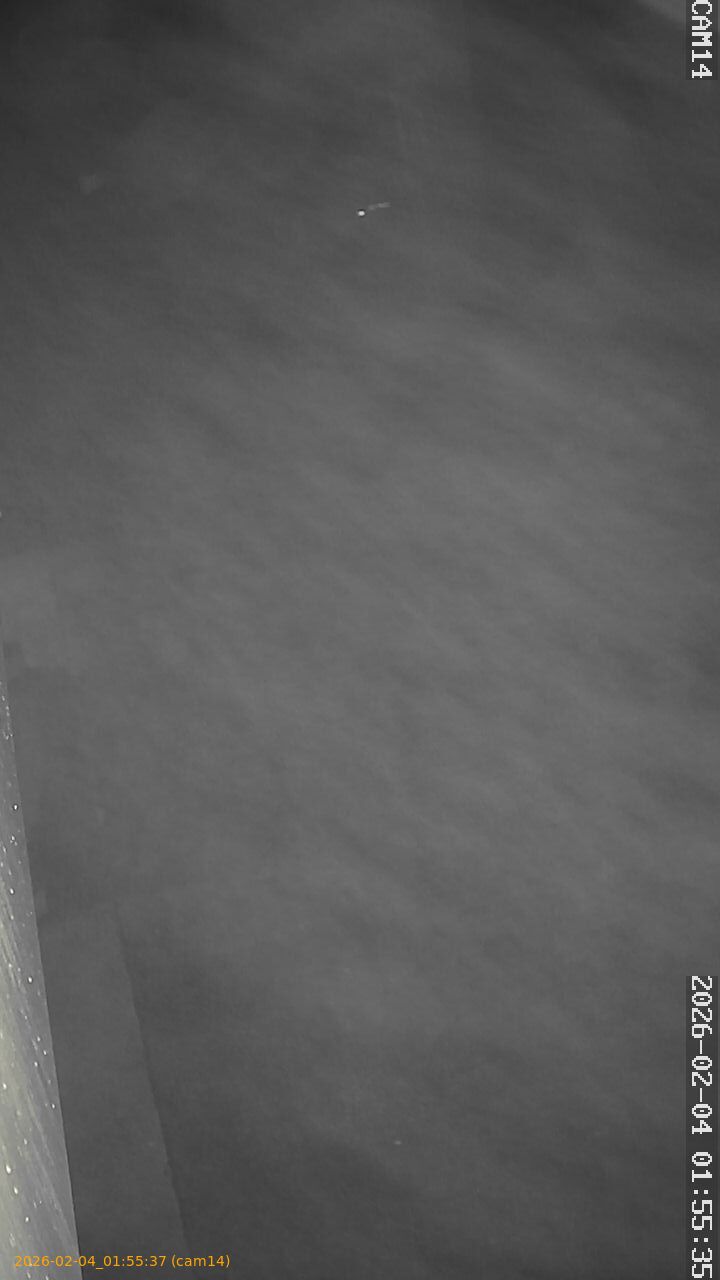 thumbnail_20260204015537