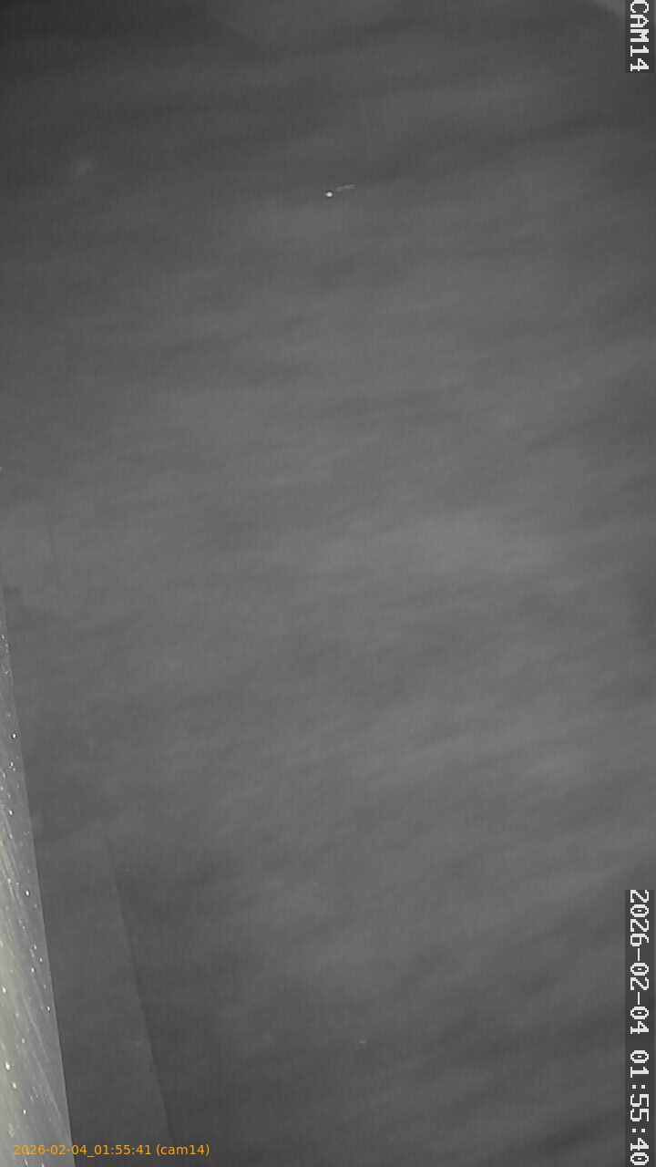 thumbnail_20260204015541