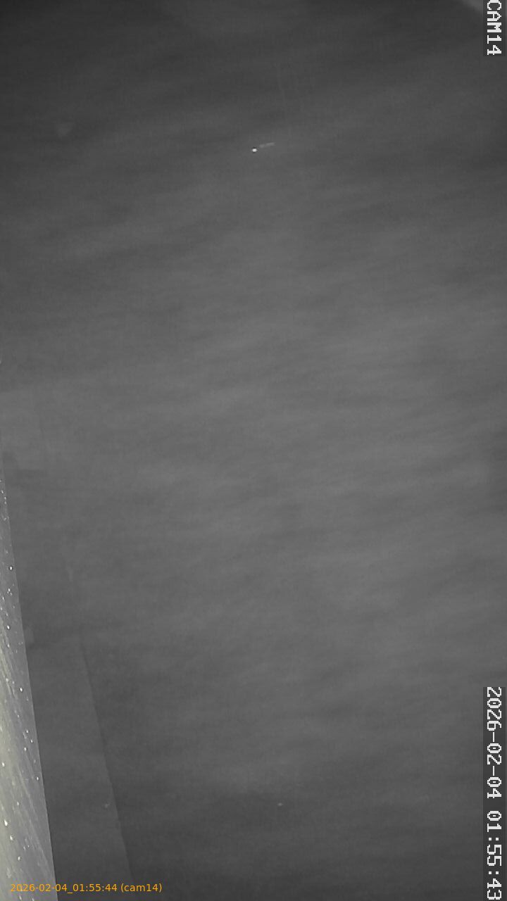 thumbnail_20260204015544