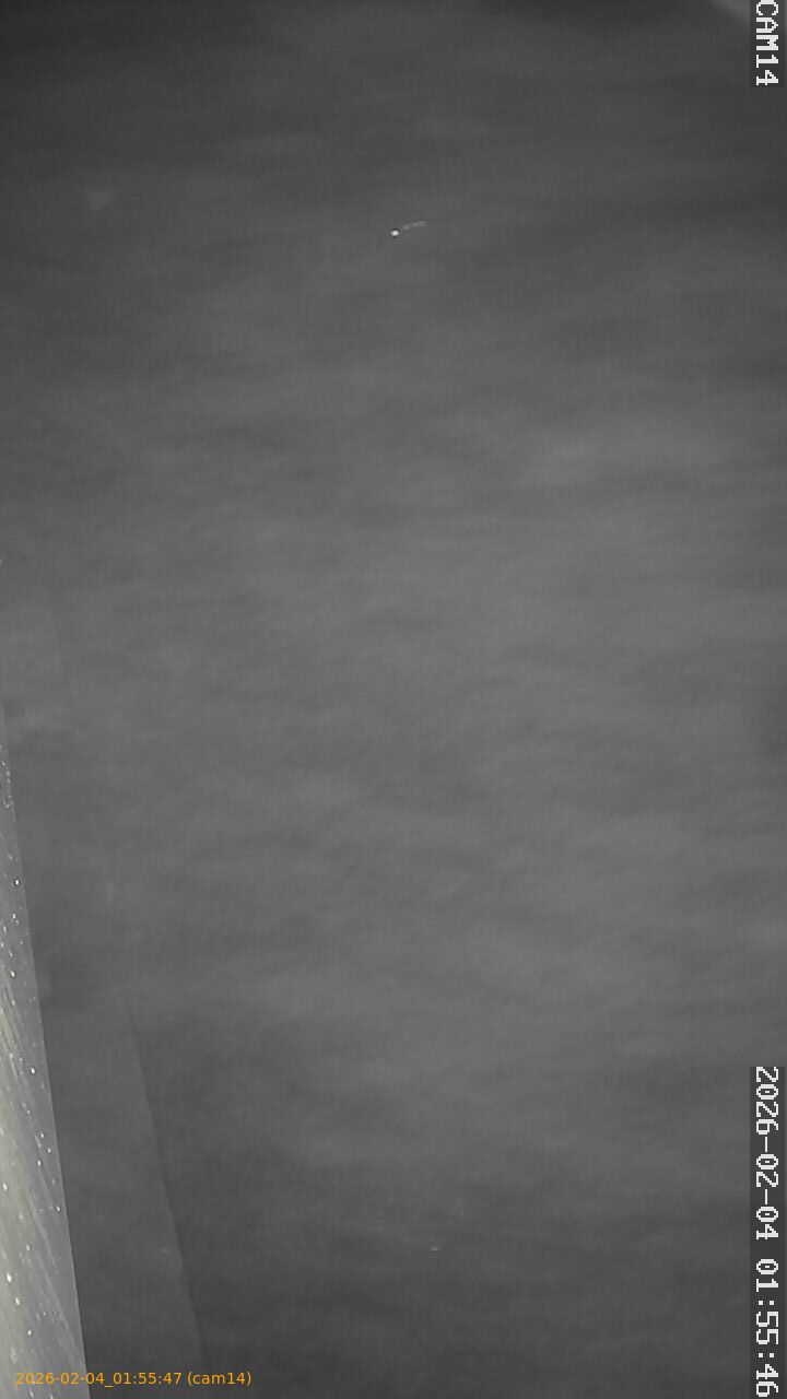 thumbnail_20260204015547