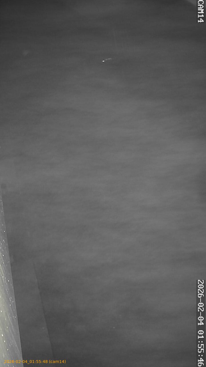 thumbnail_20260204015548