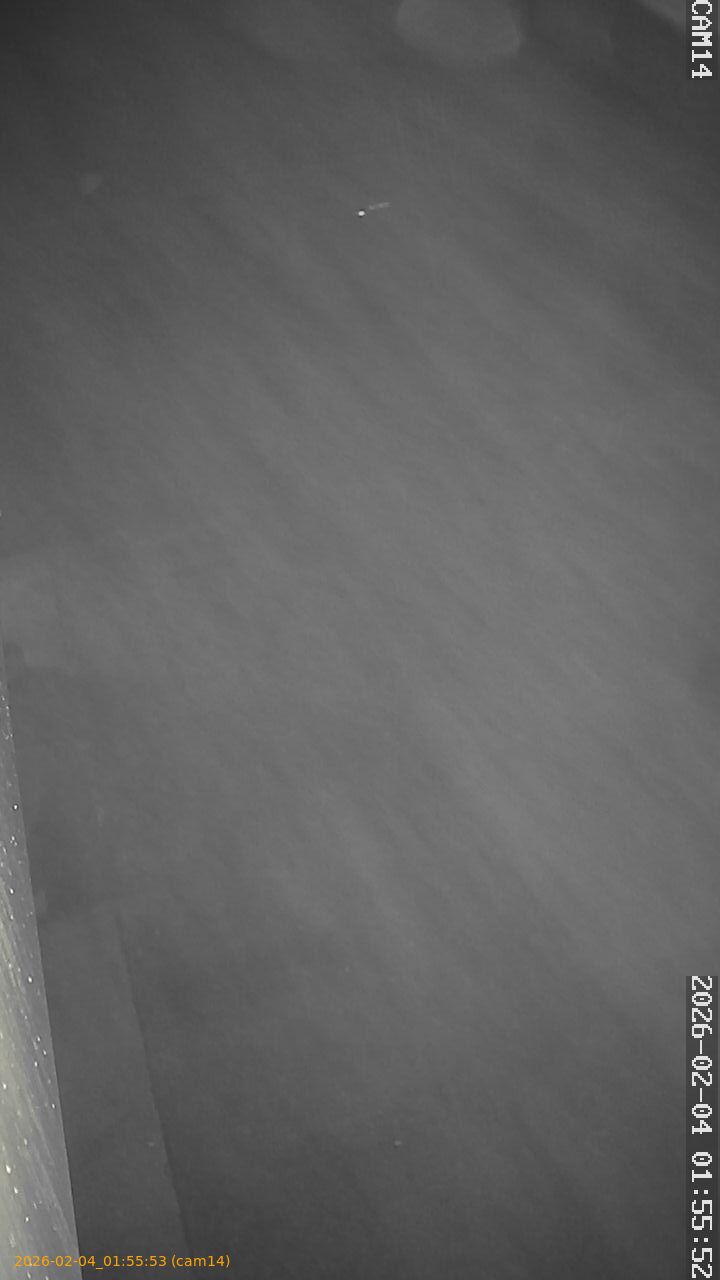 thumbnail_20260204015553