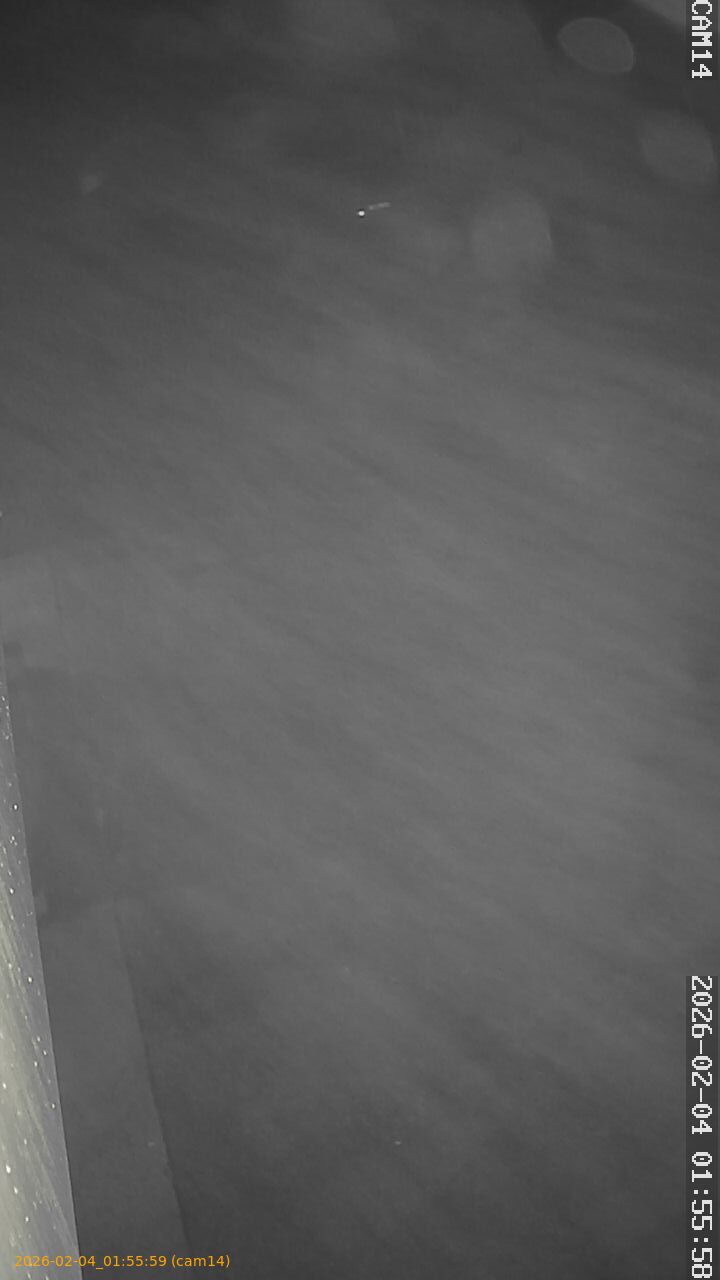 thumbnail_20260204015559