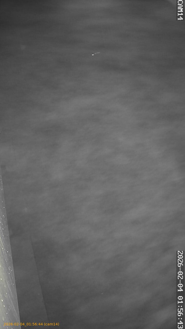 thumbnail_20260204015644