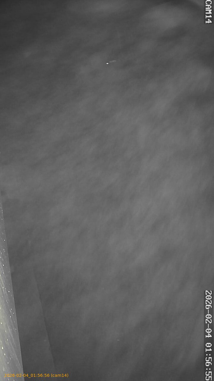 thumbnail_20260204015656