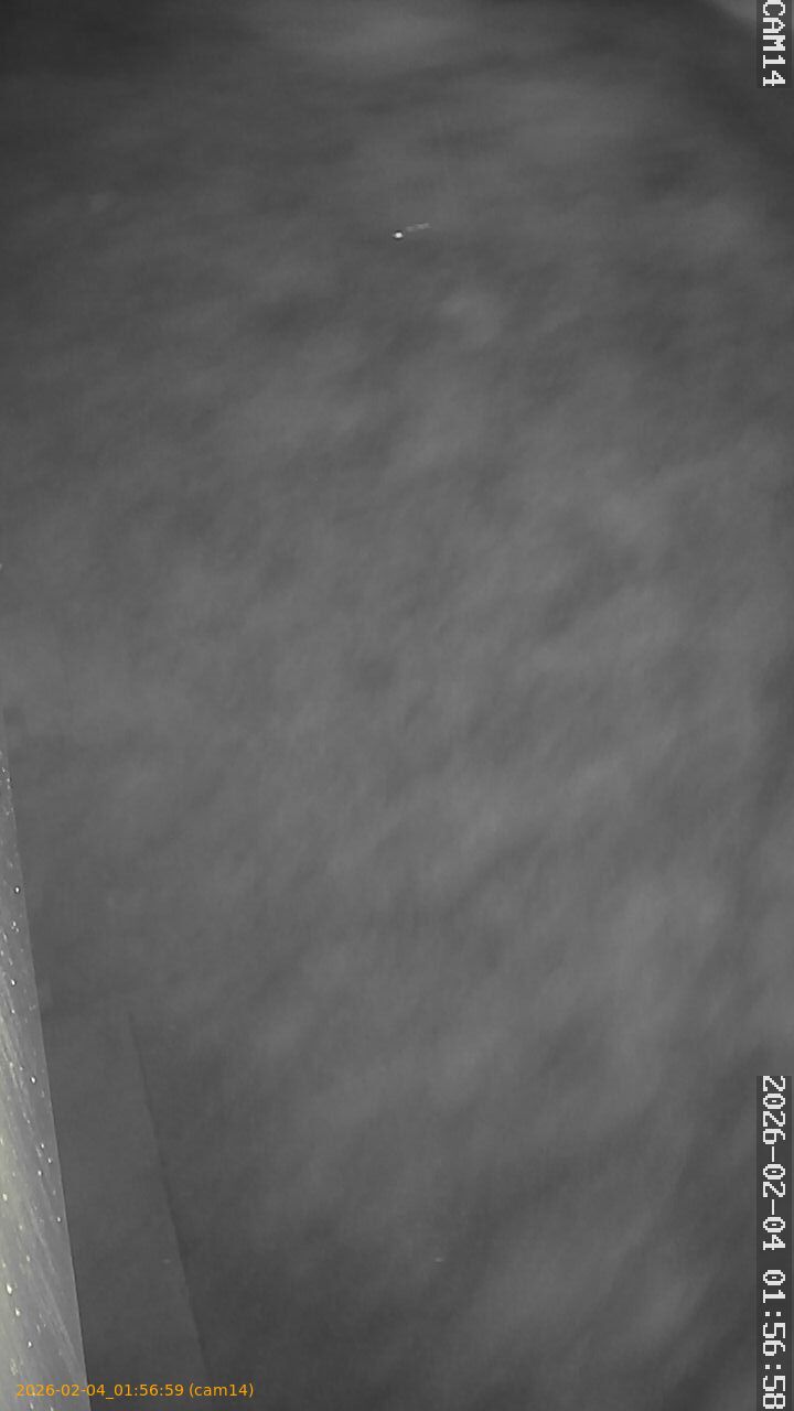 thumbnail_20260204015659