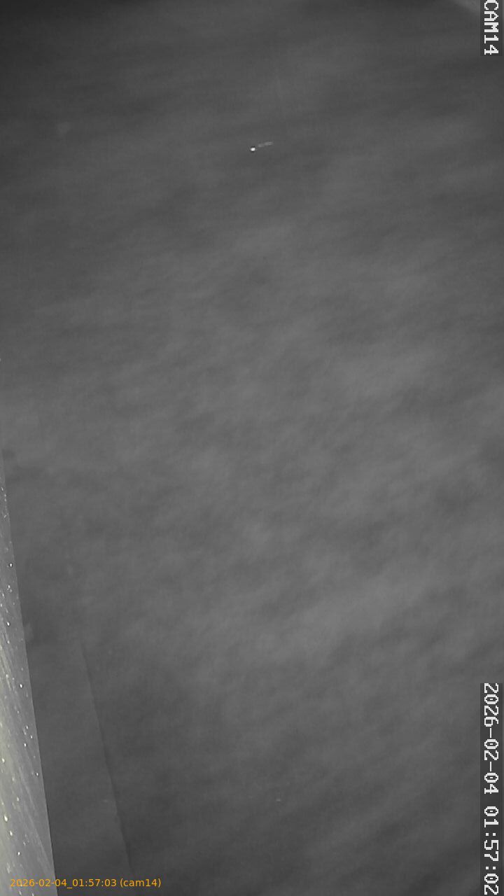 thumbnail_20260204015703