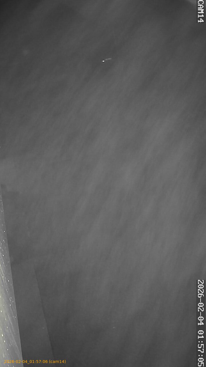 thumbnail_20260204015706