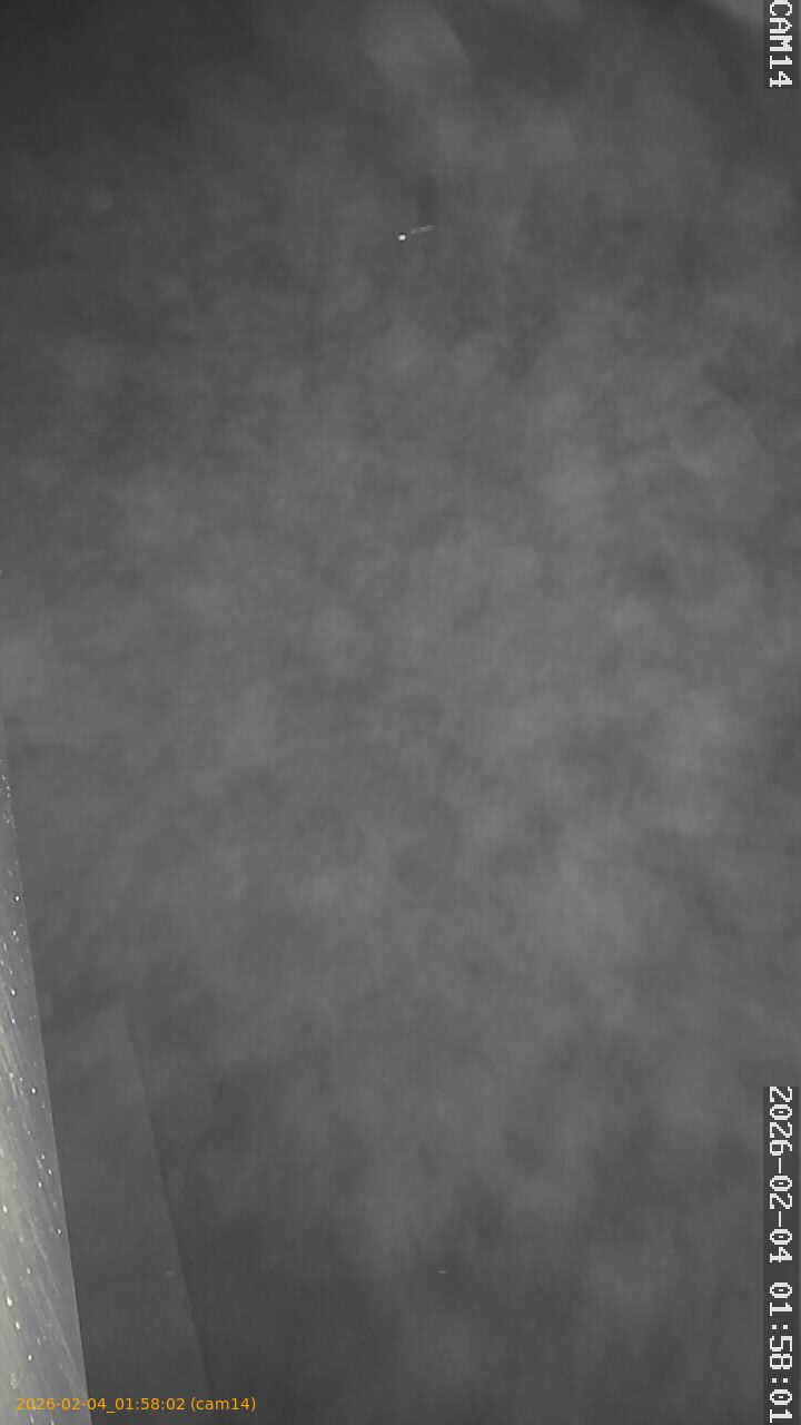 thumbnail_20260204015802