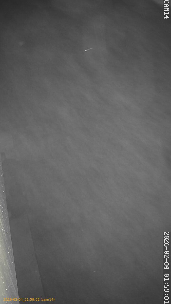 thumbnail_20260204015902