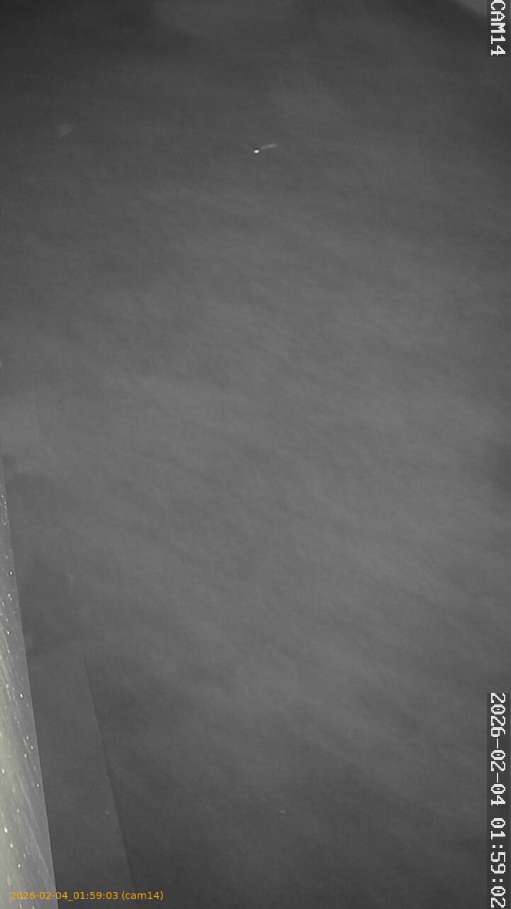 thumbnail_20260204015903