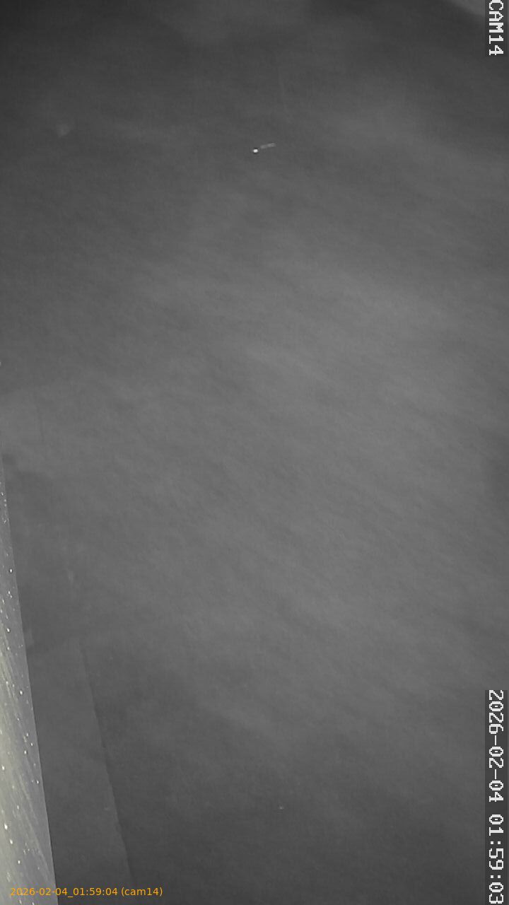 thumbnail_20260204015904