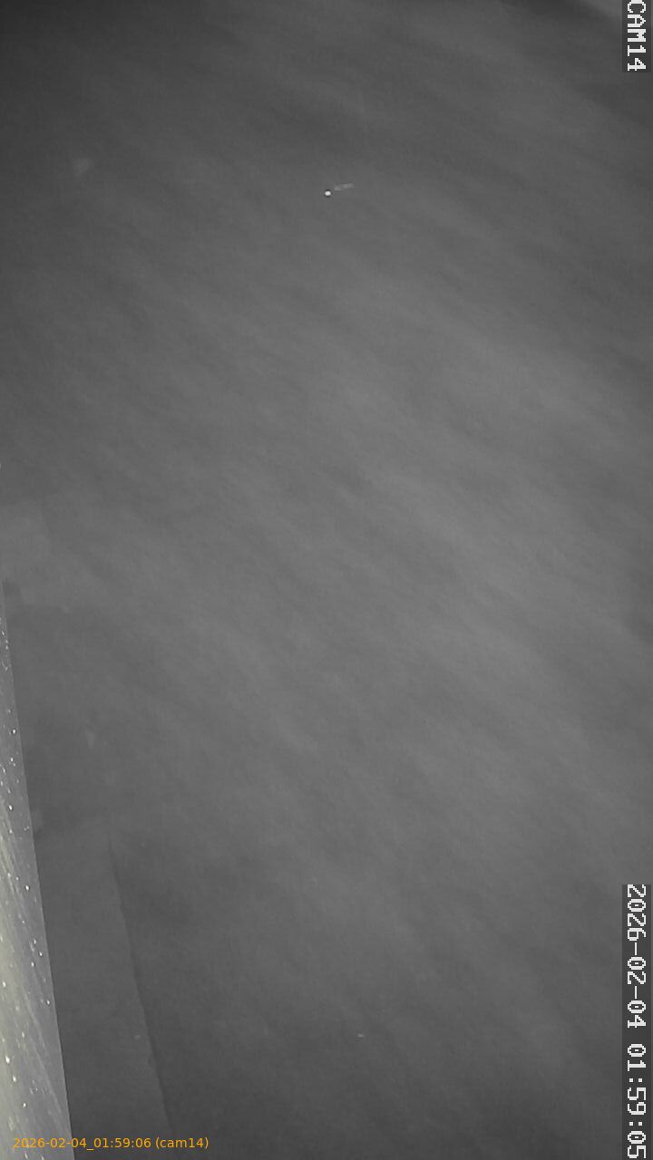 thumbnail_20260204015906