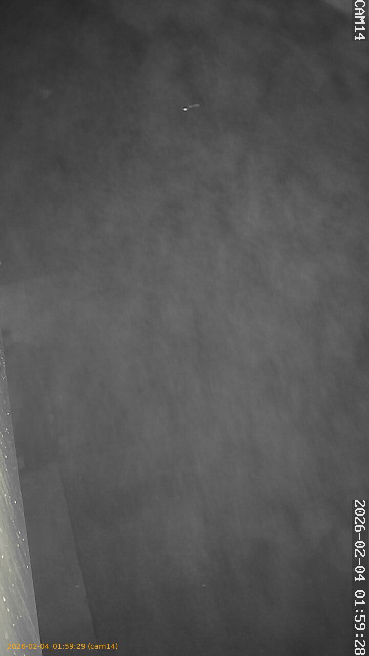 thumbnail_20260204015929