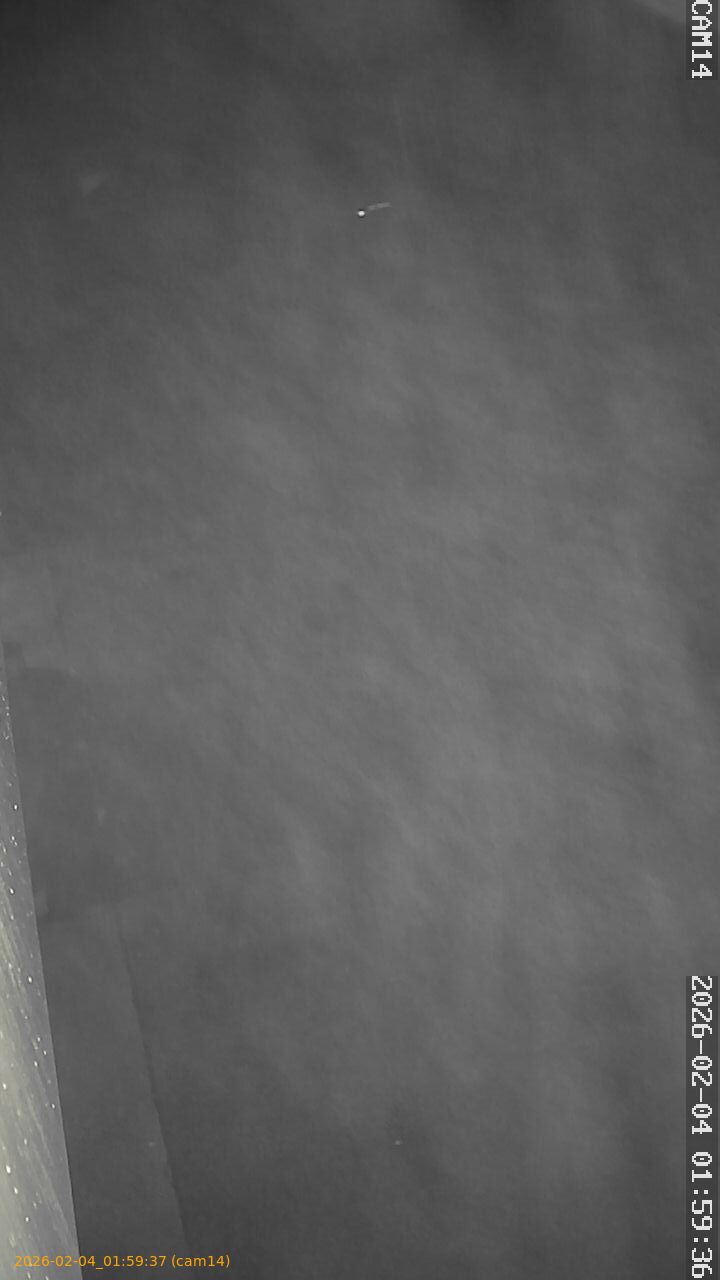 thumbnail_20260204015937