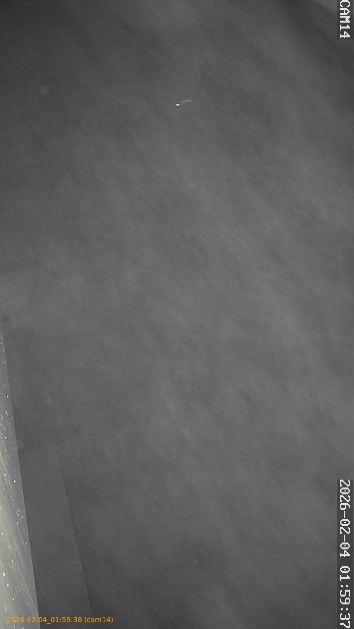 thumbnail_20260204015938