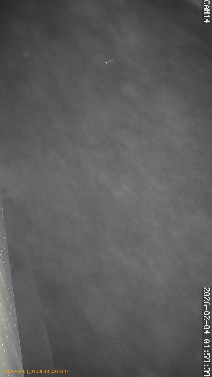 thumbnail_20260204015940