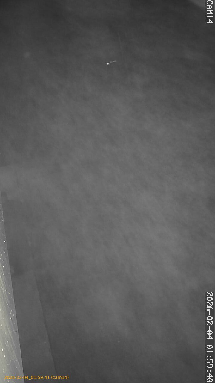 thumbnail_20260204015941