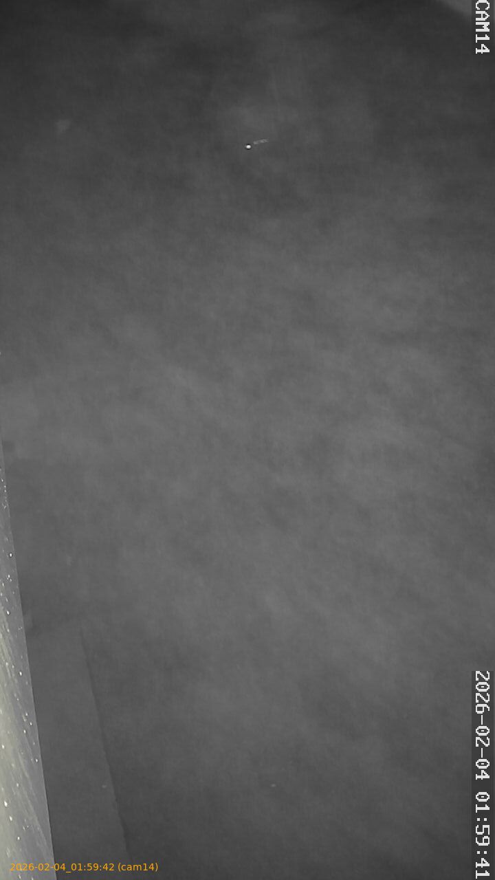 thumbnail_20260204015942