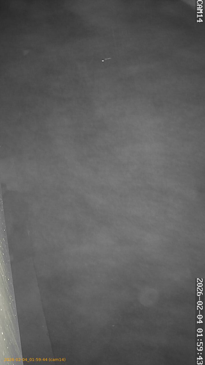 thumbnail_20260204015944