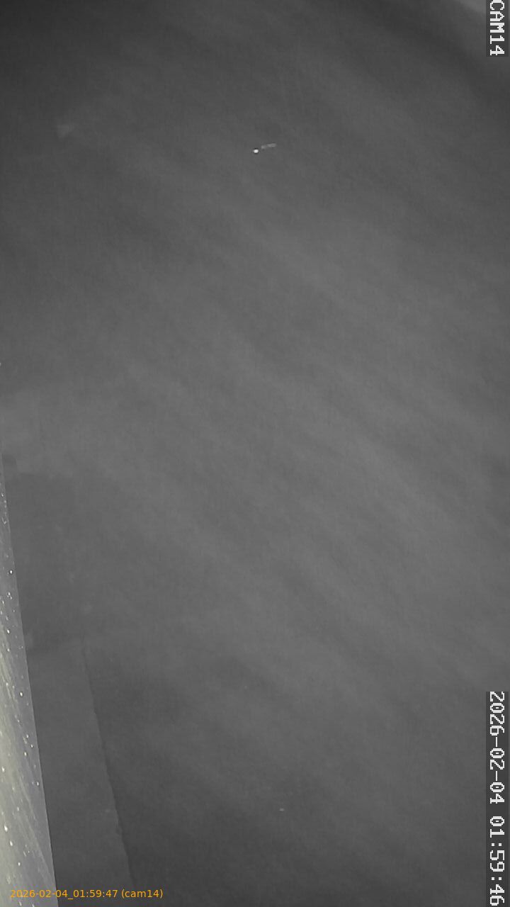 thumbnail_20260204015947