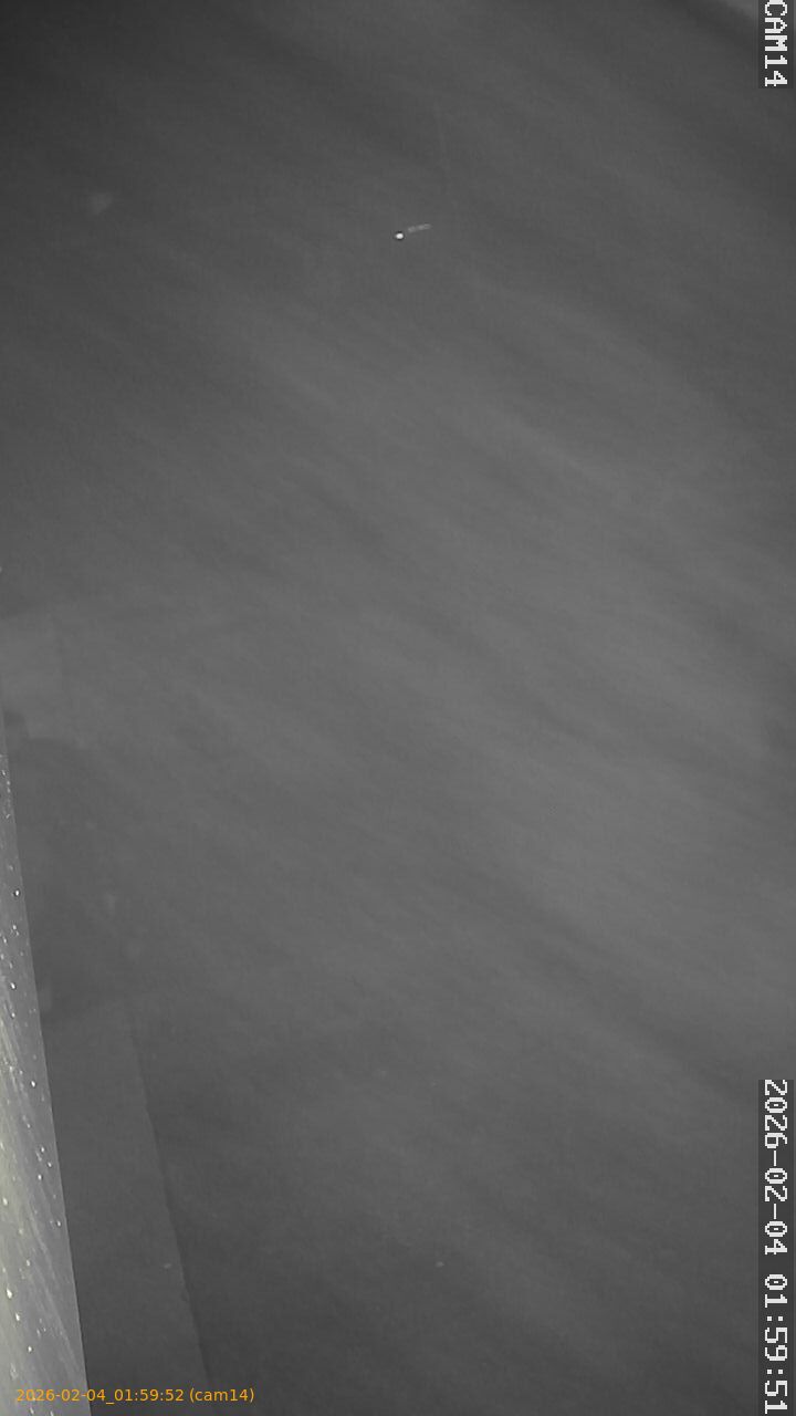 thumbnail_20260204015952