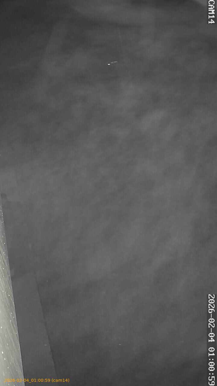 thumbnail_202602040100