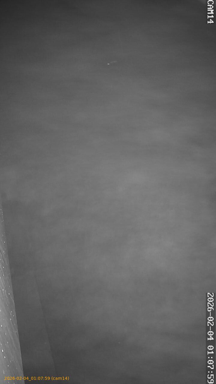 thumbnail_202602040107