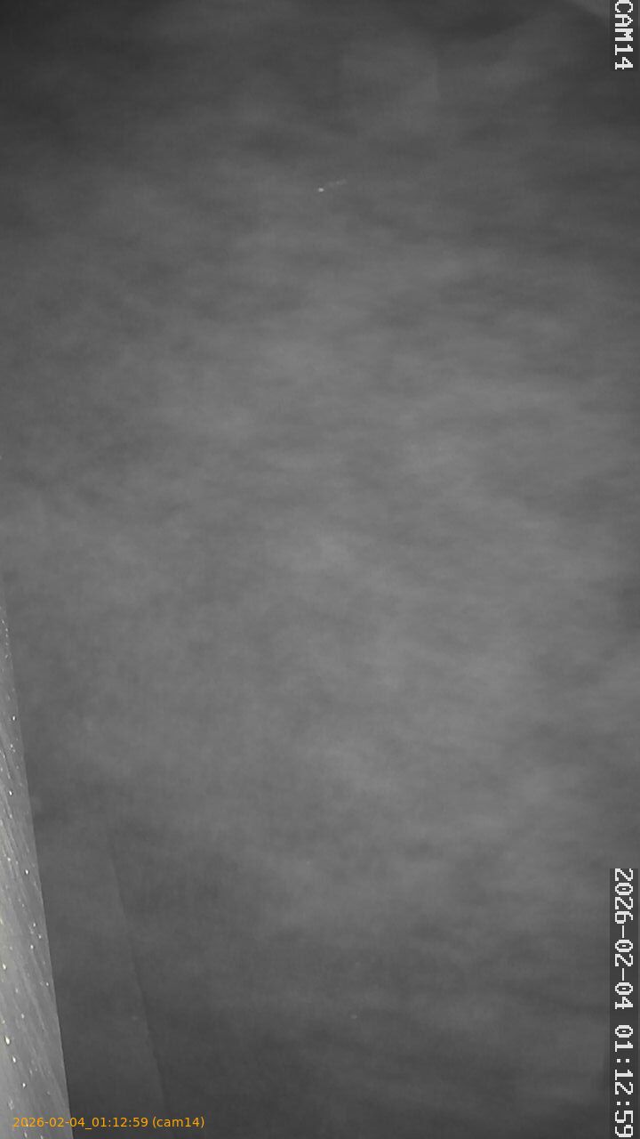 thumbnail_202602040112